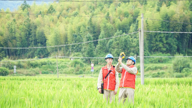何奕和龔海林正在10千伏危沖線15號桿附近對線路進(jìn)行測溫