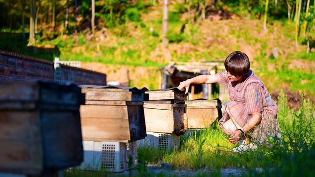 養(yǎng)蜂成為促進當?shù)剞r(nóng)民增收致富的副業(yè)之一