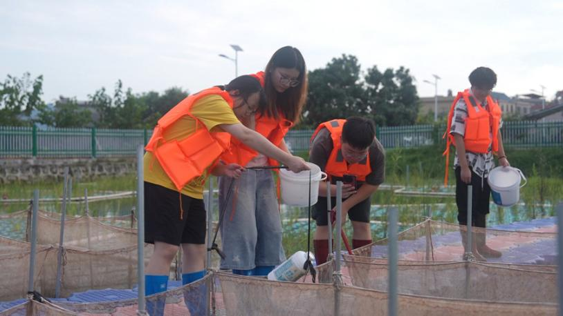 集美大學水產(chǎn)學院學生在試驗基地忙碌。龍文區(qū)融媒體中心供圖