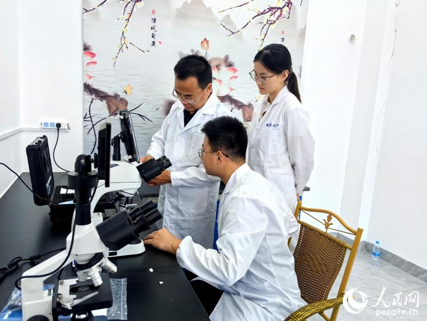 孫云章和他的學生在實驗室里檢測采集回來的樣本。人民網(wǎng) 蘇海森攝