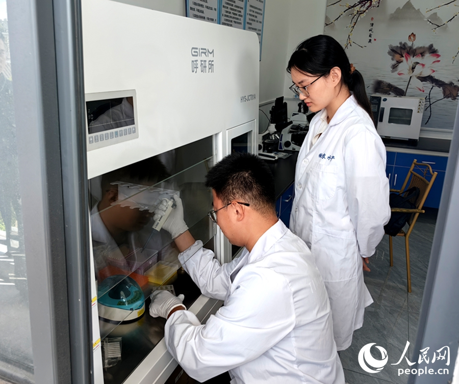 集美大學水產(chǎn)學院學生在實驗室里做實驗。人民網(wǎng) 蘇海森攝