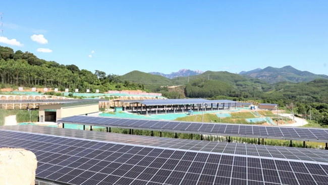 南方肉牛集散中心