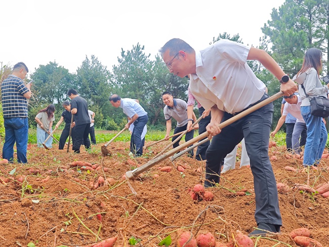 活動現(xiàn)場。