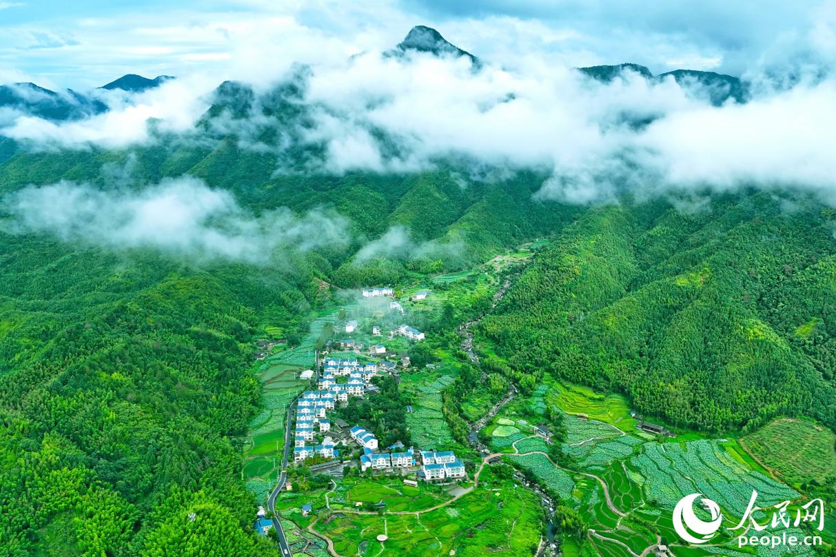 “綠色家底”給三明帶來(lái)了更多發(fā)展紅利。人民網(wǎng) 李昌乾攝