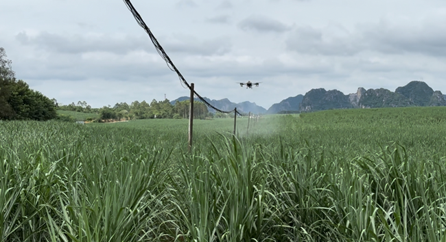 田間植保無人機飛防作業(yè)