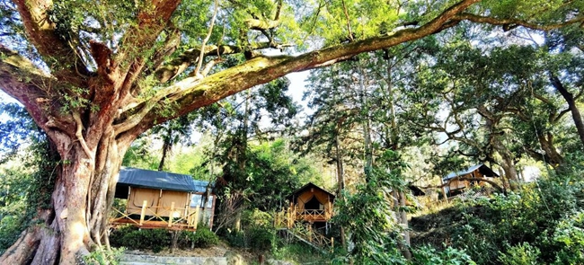 大喜小海貍森林露營(yíng)地