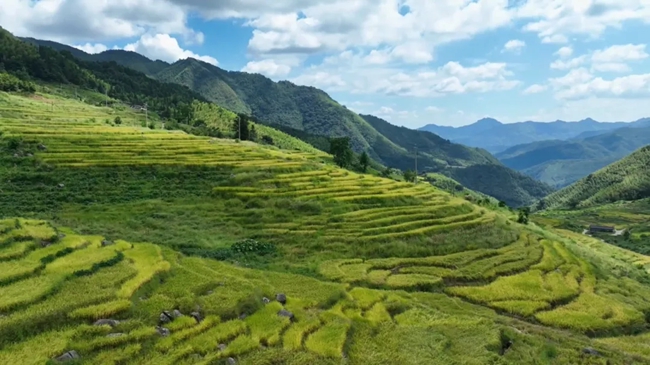 聯(lián)合梯田。黃功興攝
