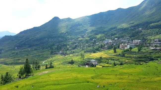 農(nóng)舍點(diǎn)綴田間。黃功興攝