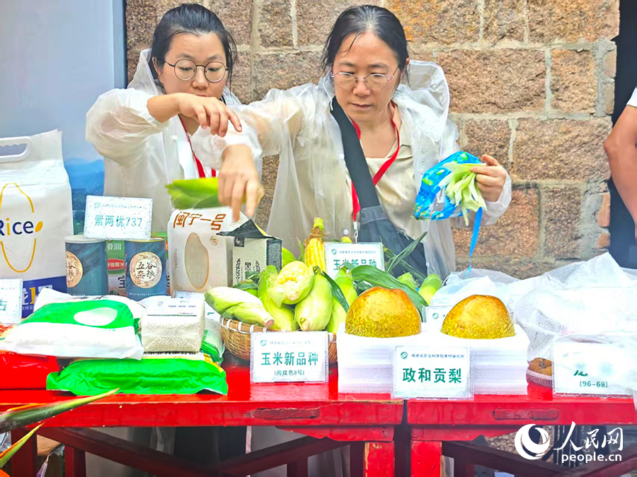 菜溪鄉(xiāng)象星村市集上種類(lèi)豐富的家鄉(xiāng)味道。人民網(wǎng) 黃東儀攝