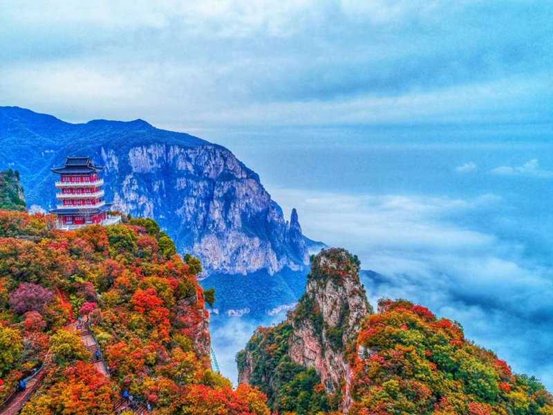 觀云海，賞紅葉，邂逅王維詩(shī)里的云臺(tái)山。段超攝