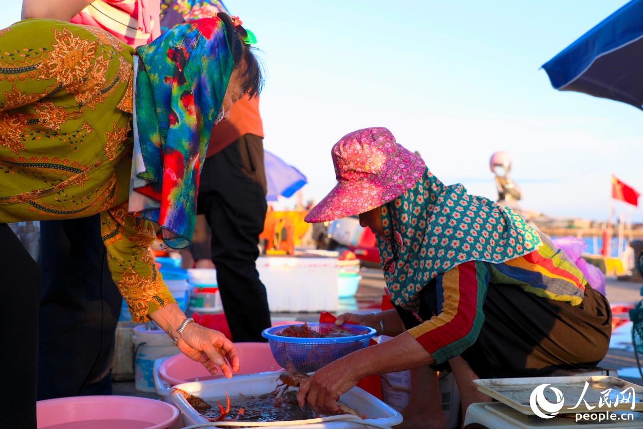 漁港邊惠女們正在出售海貨。人民網(wǎng) 李唯一攝