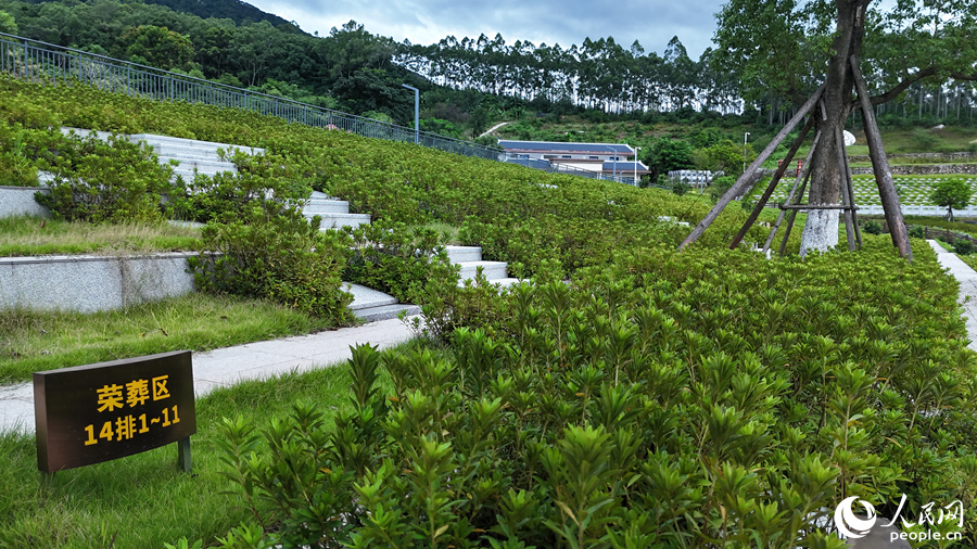 漳州市城市公益性公墓一角。人民網(wǎng) 李昌乾攝