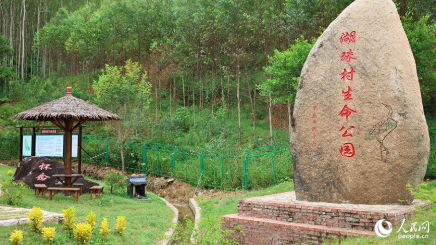 長(zhǎng)泰區(qū)巖溪鎮(zhèn)湖珠村村生命公園。人民網(wǎng) 李昌乾攝