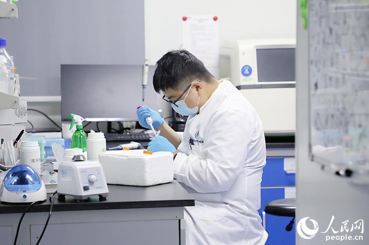 園區(qū)內(nèi)，福州市安布瑞生物技術(shù)有限公司技術(shù)專家正在開(kāi)展生物醫(yī)藥研究。人民網(wǎng) 李唯一攝