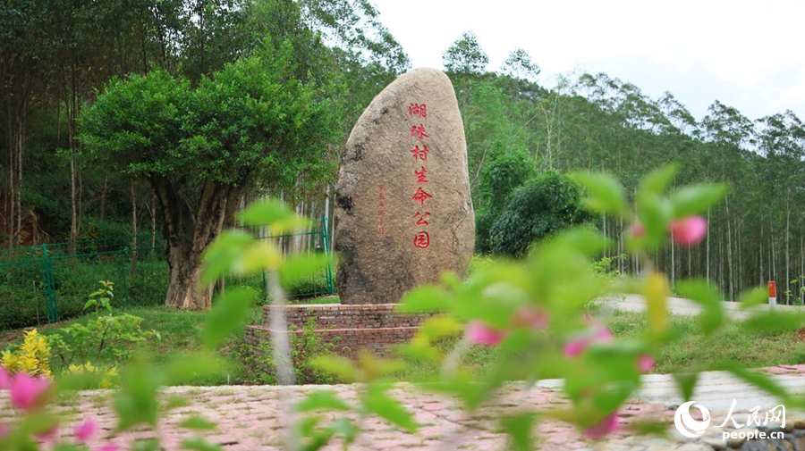 長(zhǎng)泰區(qū)巖溪鎮(zhèn)湖珠村生命公園。人民網(wǎng)記者 李昌乾攝