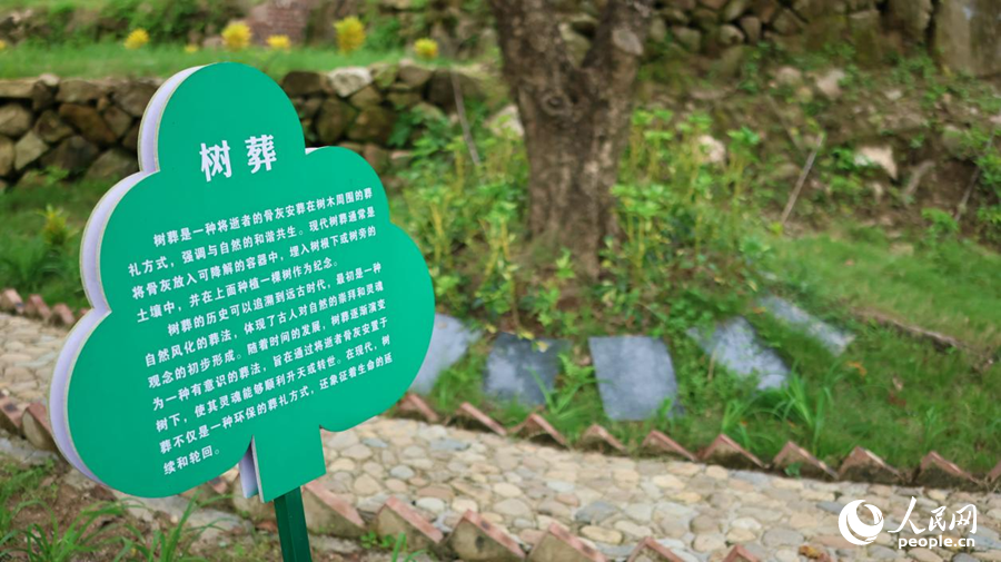 湖珠村生命公園的樹葬區(qū)。人民網(wǎng)記者 李昌乾攝