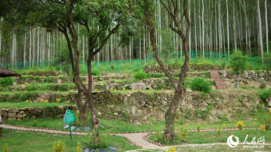 湖珠村生命公園沿山坡而建，與周邊山色融為一體。人民網(wǎng)記者 李昌乾攝