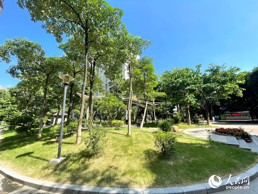 廈門(mén)海韻華庭小區(qū)。人民網(wǎng)記者 陳藍(lán)燕攝
