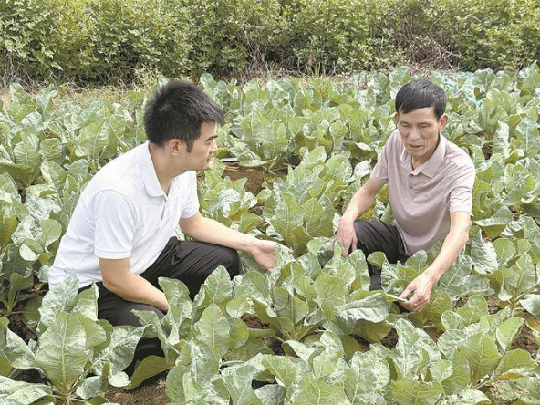 廈門市擔保工作人員走訪調(diào)研農(nóng)業(yè)企業(yè)成美慧公司。廈門市擔保供圖