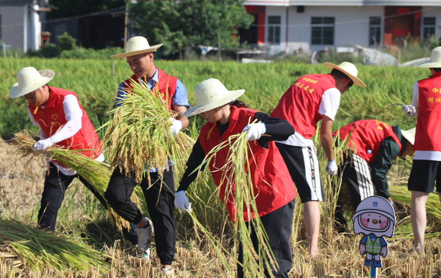 中建四局組織黨員前往長汀縣策武鎮(zhèn)開展助力農(nóng)業(yè)生產(chǎn)活動。中建四局供圖