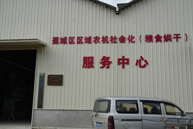 農(nóng)戶收獲的濕谷可直接運至服務(wù)中心烘干