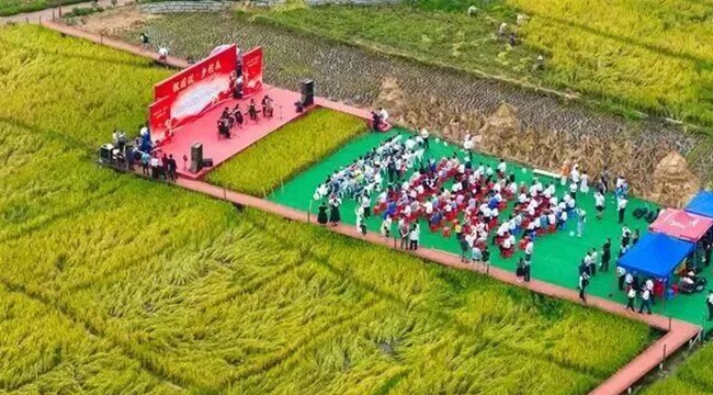 蕉城下竹洋村。王志凌攝