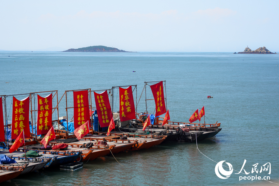 福州市2025年中國(guó)農(nóng)民豐收節(jié)福清分會(huì)場(chǎng)在沙埔鎮(zhèn)牛頭尾碼頭開(kāi)幕。實(shí)習(xí)生 鄭舒塵攝