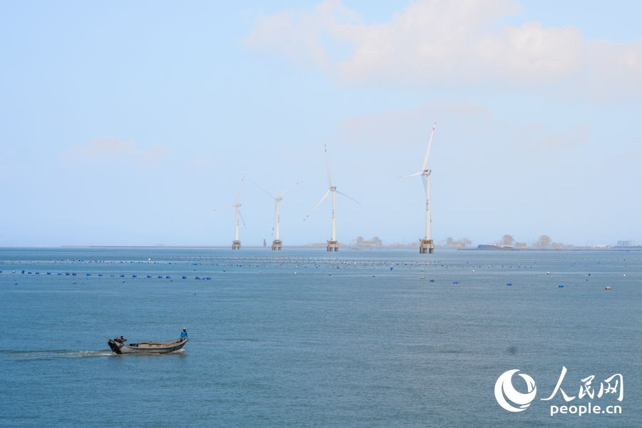 近年來(lái)，福清大力推動(dòng)文旅農(nóng)融合發(fā)展，打造現(xiàn)代農(nóng)業(yè)發(fā)展格局。實(shí)習(xí)生 鄭舒塵攝