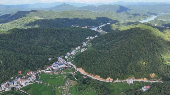 林票項目富農(nóng)增收