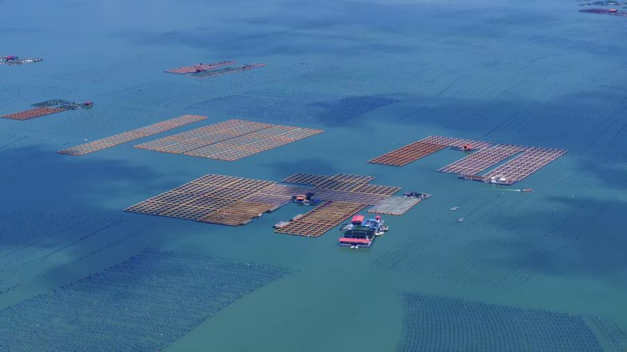 前樓鎮(zhèn)海域養(yǎng)殖設(shè)施升級(jí)改造后的藍(lán)色牧場(chǎng)。東山縣前樓鎮(zhèn)黨委供圖