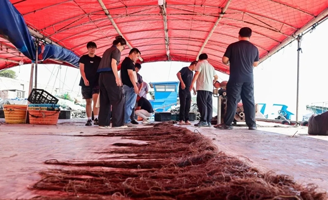 專(zhuān)家對(duì)龍須菜新品系LN-13進(jìn)行驗(yàn)收