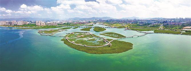 下潭尾紅樹林公園。洪海浪攝