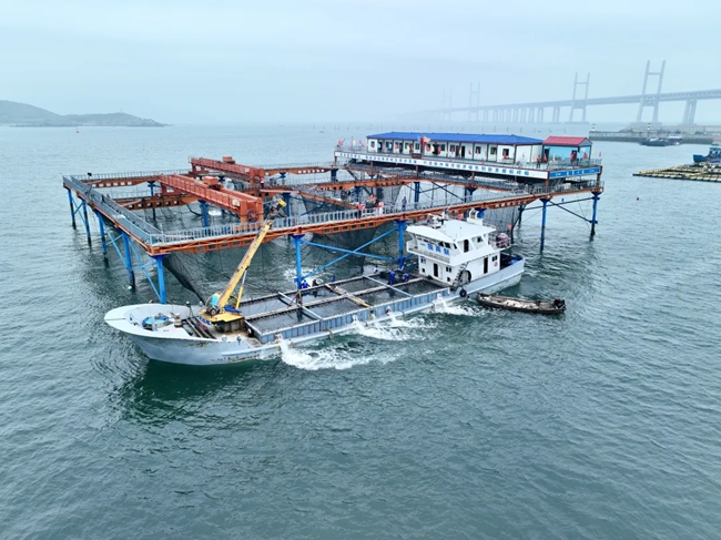 福建省首套樁基桁架式大型智能化養(yǎng)殖平臺“航寧一號”。吳文杰攝