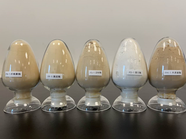 部分生物酶制劑產品