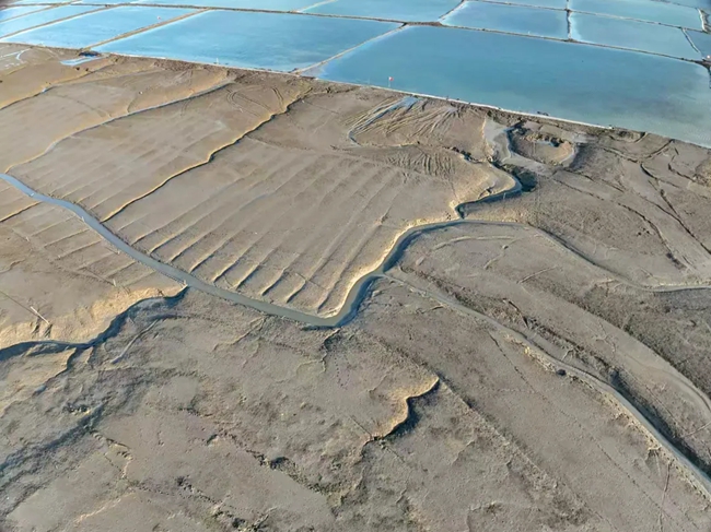除治互花米草后的灘涂。蕉城區(qū)融媒體中心供圖