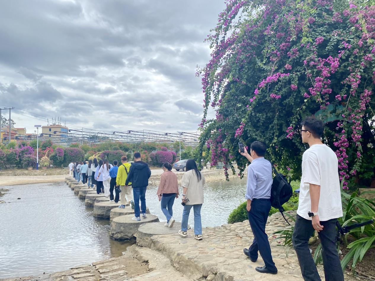 主播們探訪古坑村。傅心婕攝