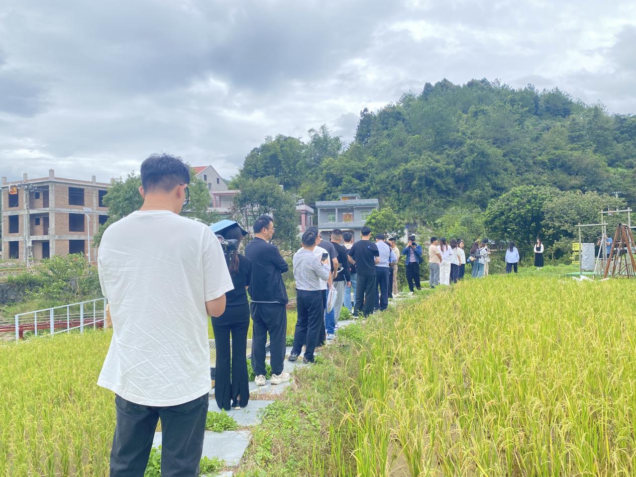 主播們探訪上陵稻田。傅心婕攝