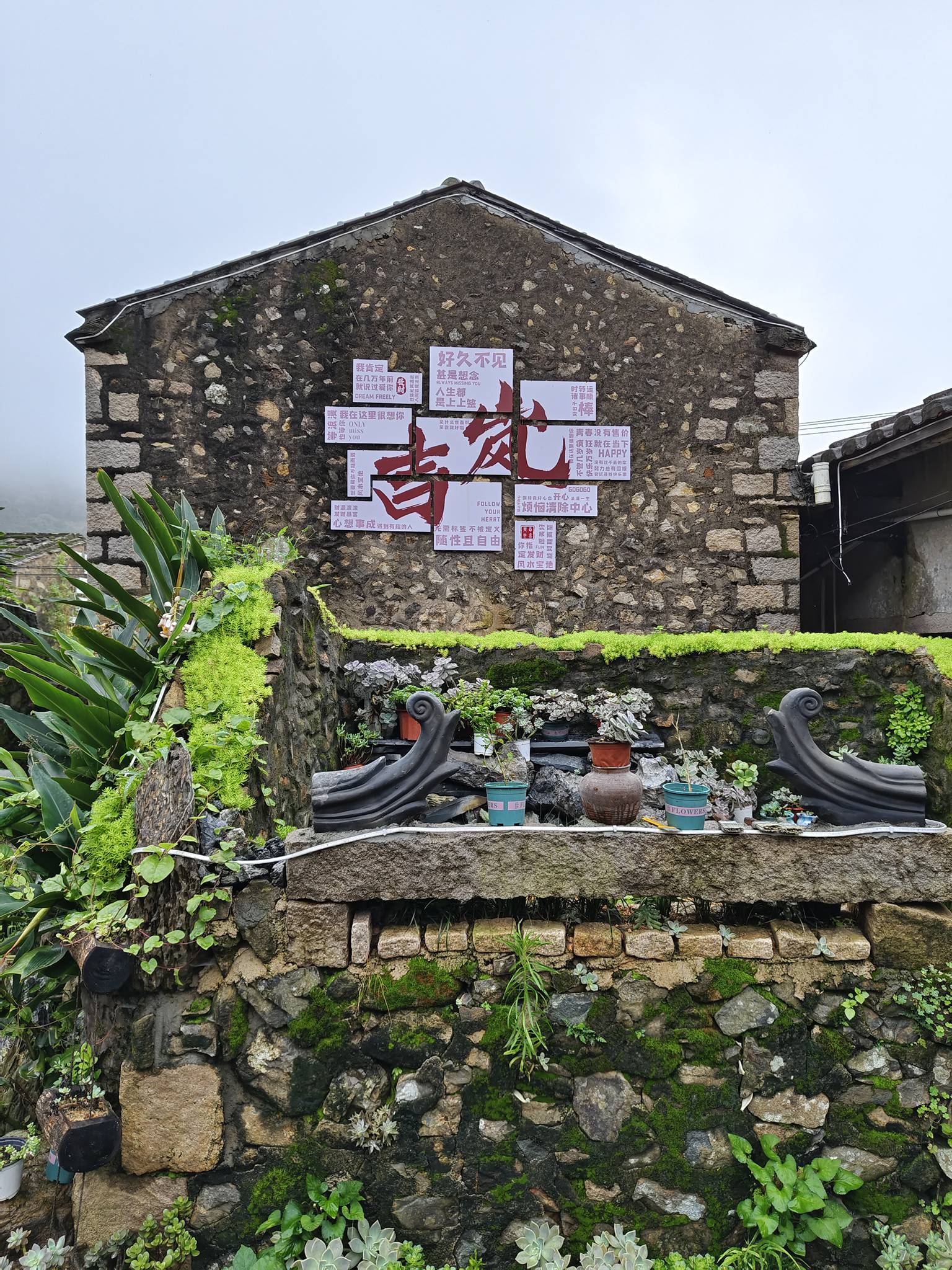 返鄉(xiāng)黨員大學(xué)生打造的鄉(xiāng)村會(huì)客廳——“殘墻花園”