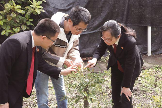 法官等人到野生植物保護(hù)司法修復(fù)基地查看委托培育的涉案金豆。