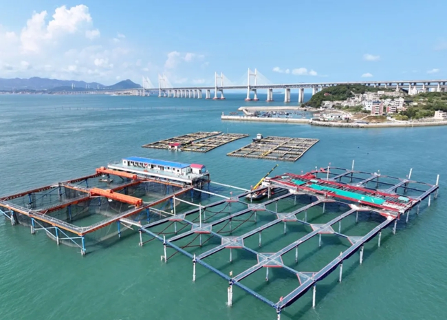 “航寧1號”和在建的“航寧2號”養(yǎng)殖平臺。包華攝