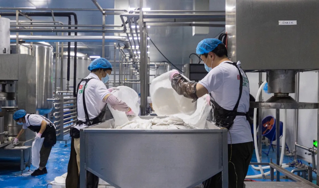 椰子產(chǎn)業(yè)集群實(shí)現(xiàn)“把一顆椰子剝干用凈”