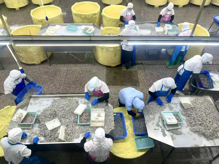 福建海棠食品有限公司生產車間。郵儲銀行漳州分行供圖