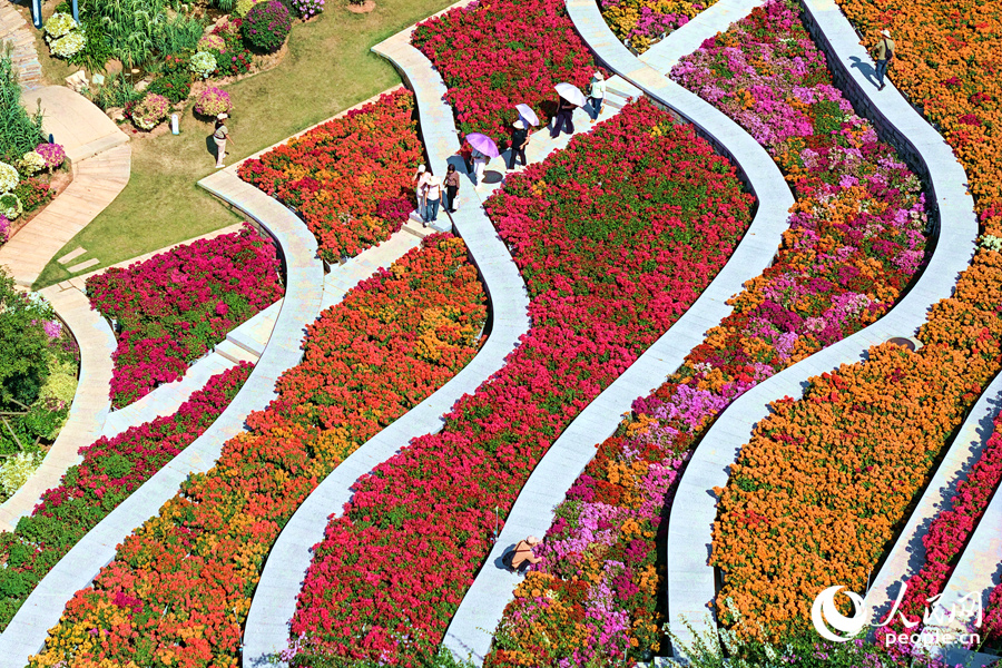 市民游客在花海中漫步。人民網記者 陳博攝