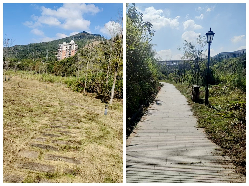 雜草修剪后，延平站站后公園變得干凈了。南平市土發(fā)集團(tuán)公司供圖