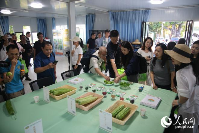 采風(fēng)團(tuán)品嘗特色苦瓜。人民網(wǎng)記者 陳博攝