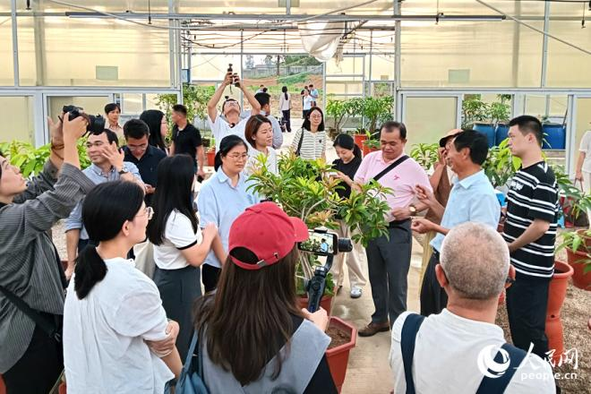 參觀“會走路的水果”。人民網(wǎng)記者 陳博攝