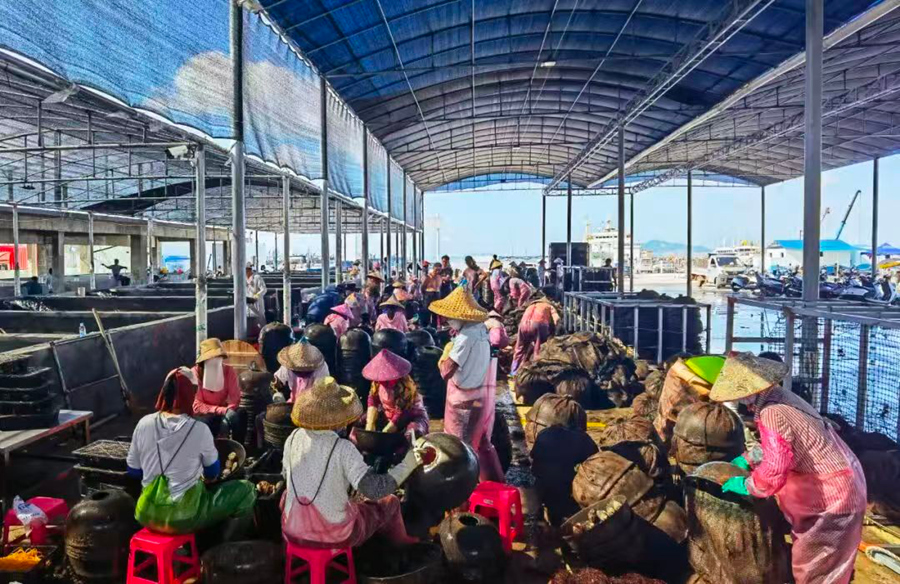 漁民在東山冬古水產(chǎn)品興村富民工坊內(nèi)分揀鮑魚。東山縣委宣傳部供圖