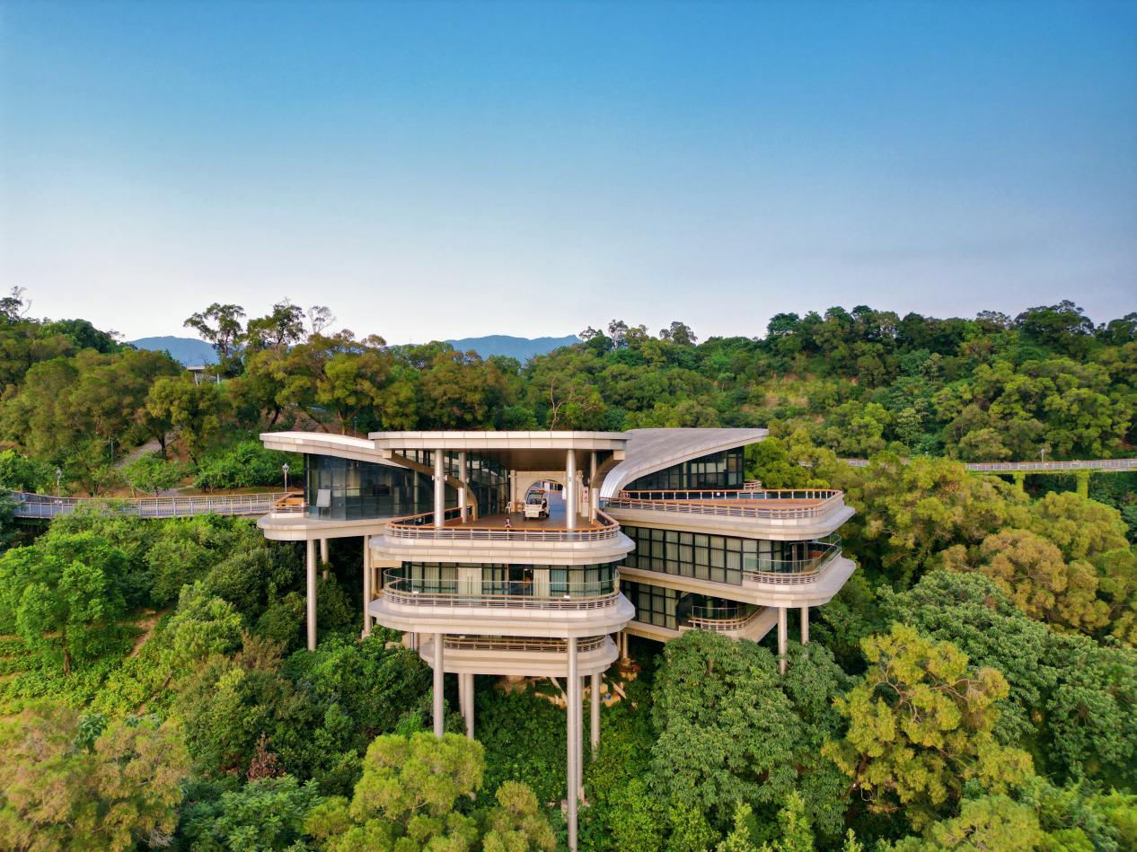 金雞山公園攬城棧道旁，茉莉花廳清新書苑掩映在翠綠之中。清新書苑供圖