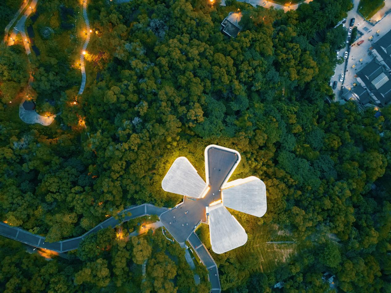 俯瞰茉莉花廳清新書苑，宛如一朵“茉莉花”綻放在公園的森林中。清新書苑供圖