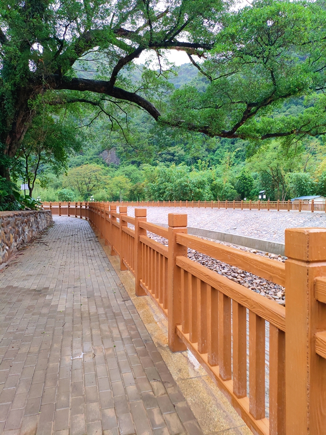 生態(tài)護(hù)岸改造